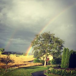 Scenic view of rainbow over landscape against sky