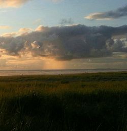 Scenic view of field against sky during sunset