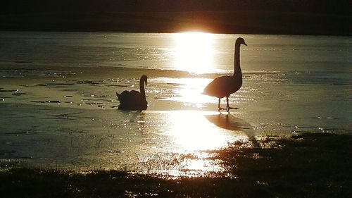 Scenic view of sunset over river