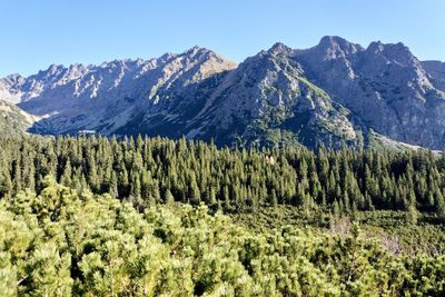 Scenic view of mountains against clear sky