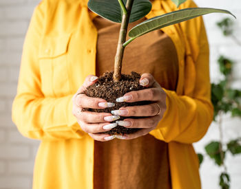 Close-up of woman holding plant