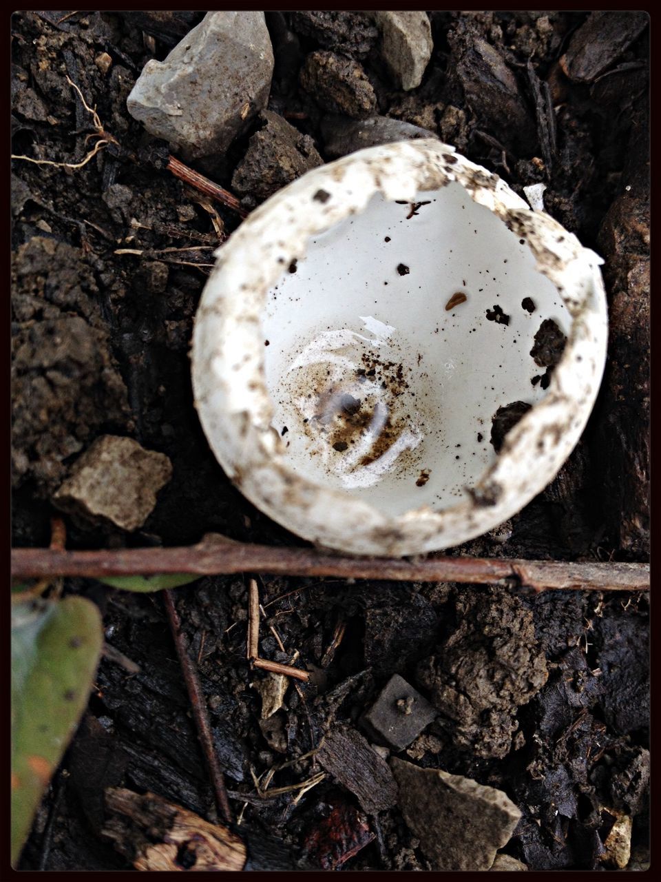 transfer print, auto post production filter, high angle view, close-up, metal, old, abandoned, obsolete, no people, day, outdoors, stone - object, rusty, damaged, wood - material, still life, circle, dirty, directly above, ground