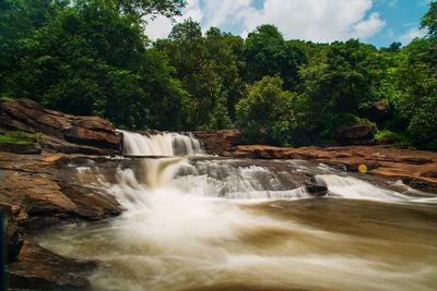 Low angle view of waterfall in forest