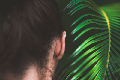 Rear view of woman by palm leaf