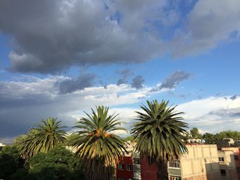 Low angle view of palm trees against cloudy sky