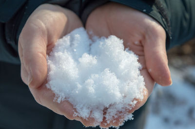 Cropped image of hands holding snow