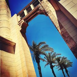 Low angle view of palm tree against blue sky