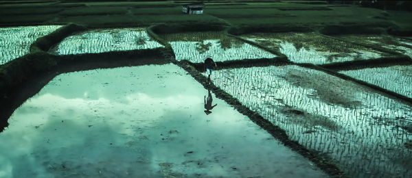 High angle view of wet road during rainy season