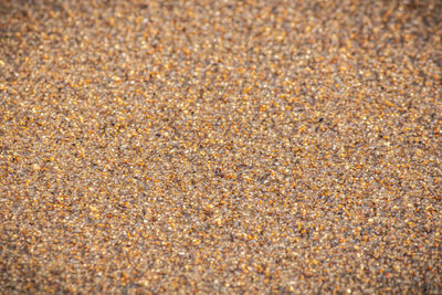 Full frame shot of sand on beach