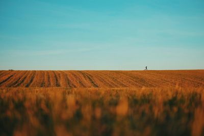 Distant shot of man running on field against sky