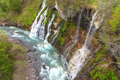 Scenic view of waterfall in forest