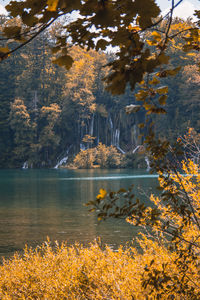 Scenic view of lake in forest during autumn