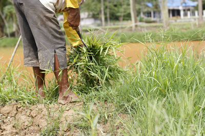 Low section of man standing on field