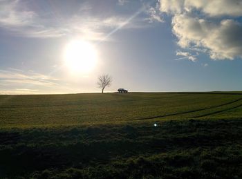 Scenic view of grassy field against sky