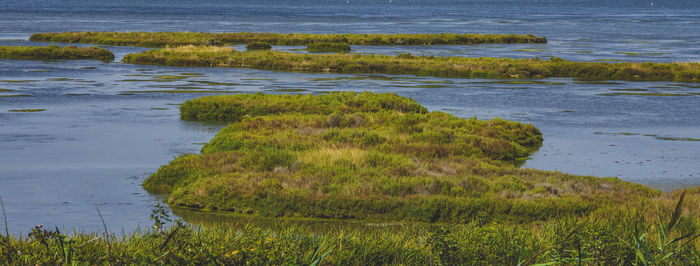 Scenic view of sea