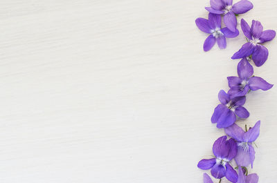 Close-up of purple flowers on table