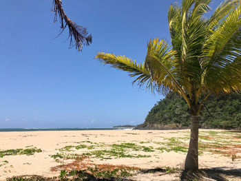 Scenic view of sea against clear blue sky