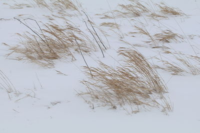 Low angle view of snow covered land against sky