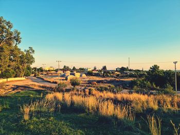 Scenic view of field against clear sky
