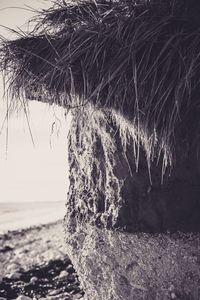 Close-up of sea against sky