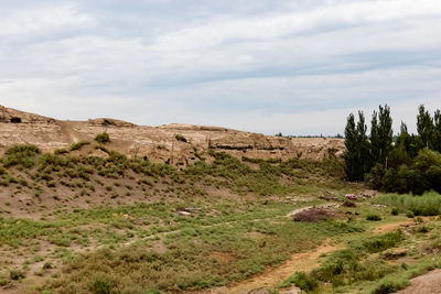 Scenic view of landscape against cloudy sky