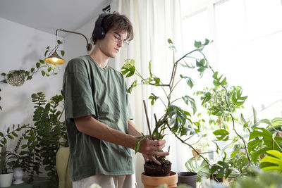 A young man holding mini monstera rhaphidophora cultivation and caring for indoor potted plants.