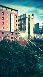 Sun shining through buildings in city
