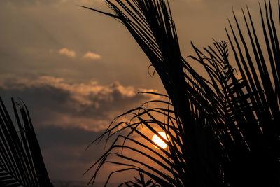 Low angle view of silhouette trees against sky at sunset