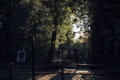 Trees and plants in park by building