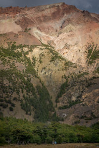 High angle view of trees on mountain