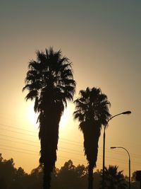 Silhouette palm trees against sky during sunset