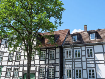 Low angle view of trees and buildings against blue sky