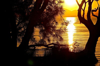 Silhouette trees by lake against sky during sunset