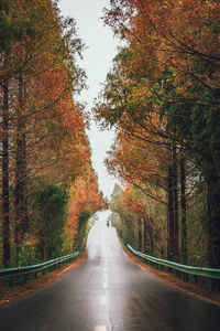 Road amidst trees during autumn