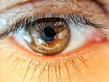 Extreme close-up of human eye