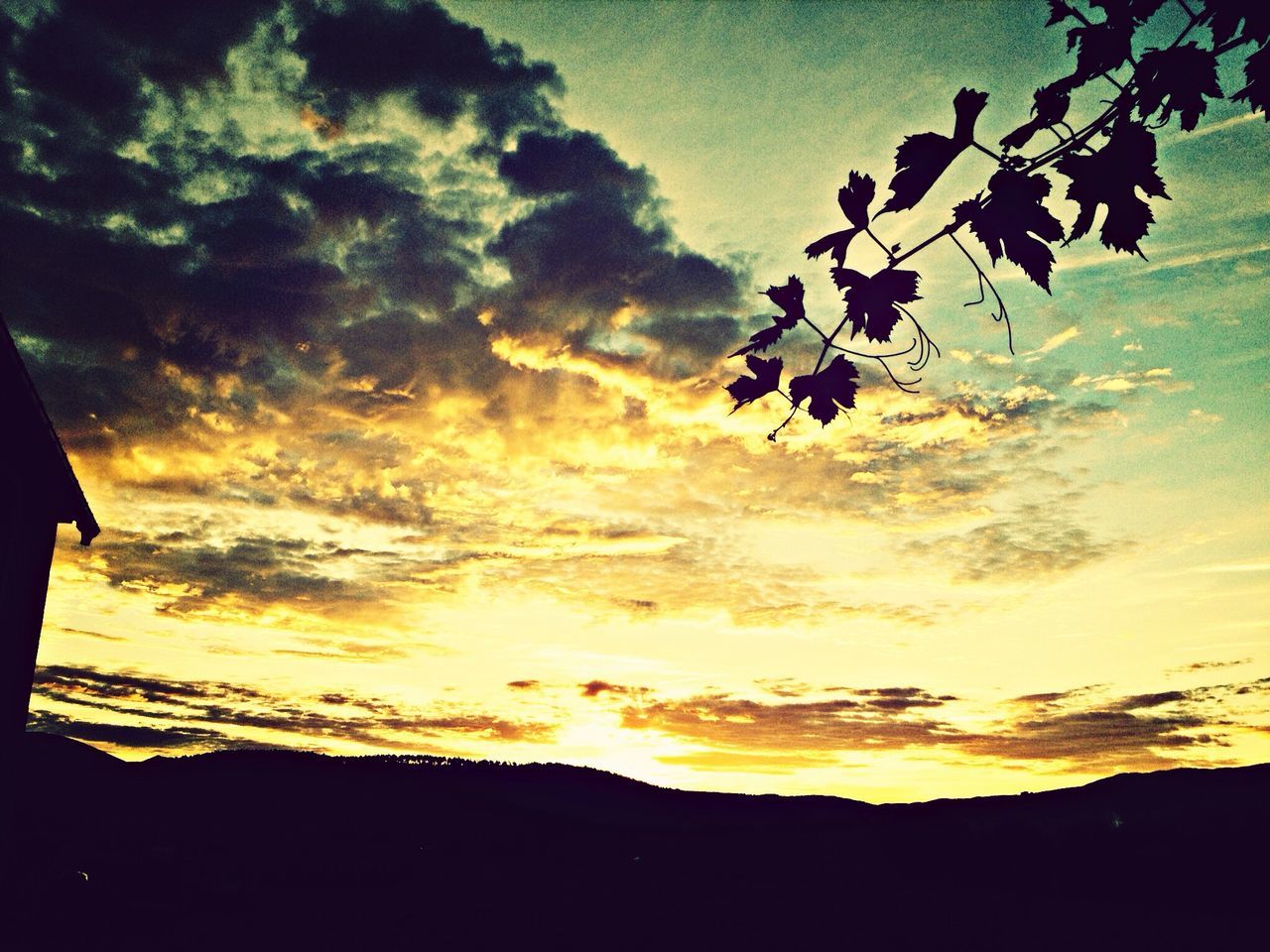 sunset, silhouette, sky, beauty in nature, tree, scenics, tranquil scene, tranquility, nature, orange color, cloud - sky, growth, idyllic, cloud, low angle view, branch, landscape, outdoors, no people, sunlight