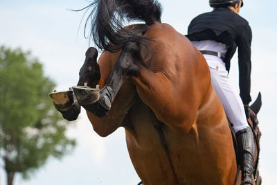 Rear view of man drinking water