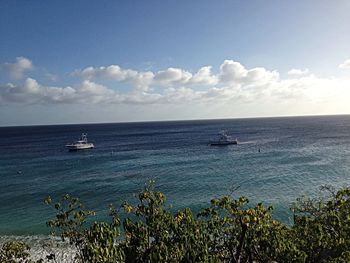 Boat sailing in sea