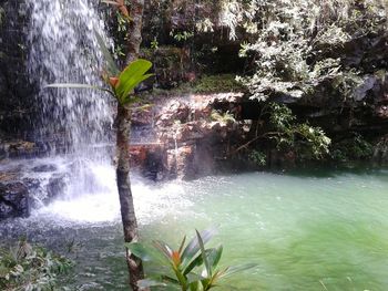 Scenic view of waterfall