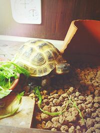 Built structure against the sky