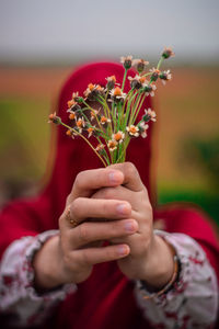 Close-up of hand holding red flower