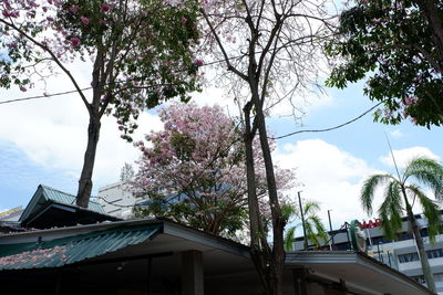 Low angle view of building and trees against sky