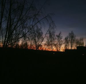 Silhouette bare trees against sky during sunset