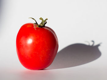 Close-up of red fruit over white background