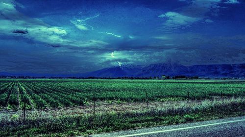 Scenic view of field against sky