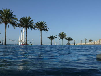 Palm trees by swimming pool against sky
