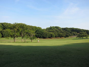 Scenic view of golf course against sky