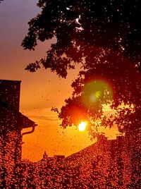 orange color