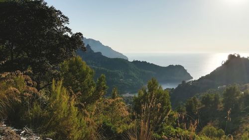 Scenic view of trees and mountains against sky