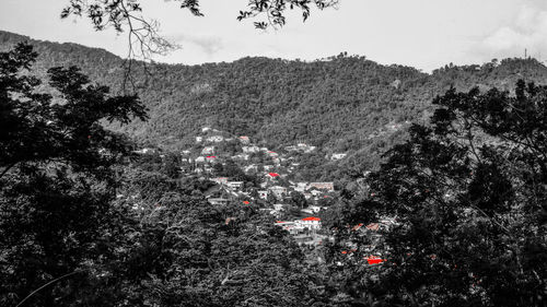 Scenic view of tree mountains against sky